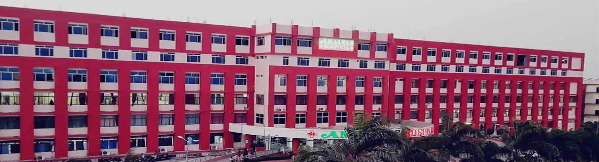 amaltas institute of medical sciences dewas